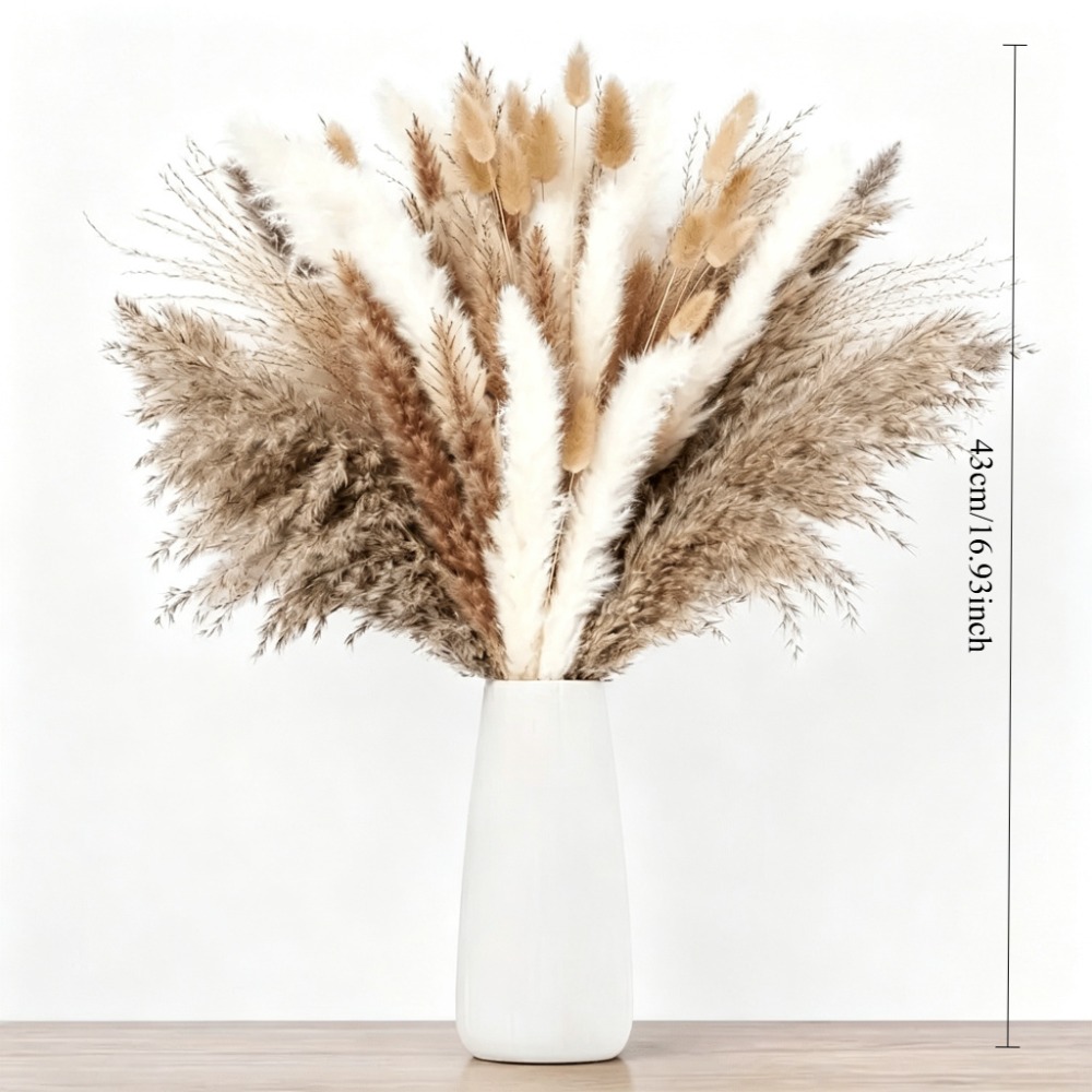 Dried Flowers Brown White Pamp - Pampas Grass Decor 评论和价格