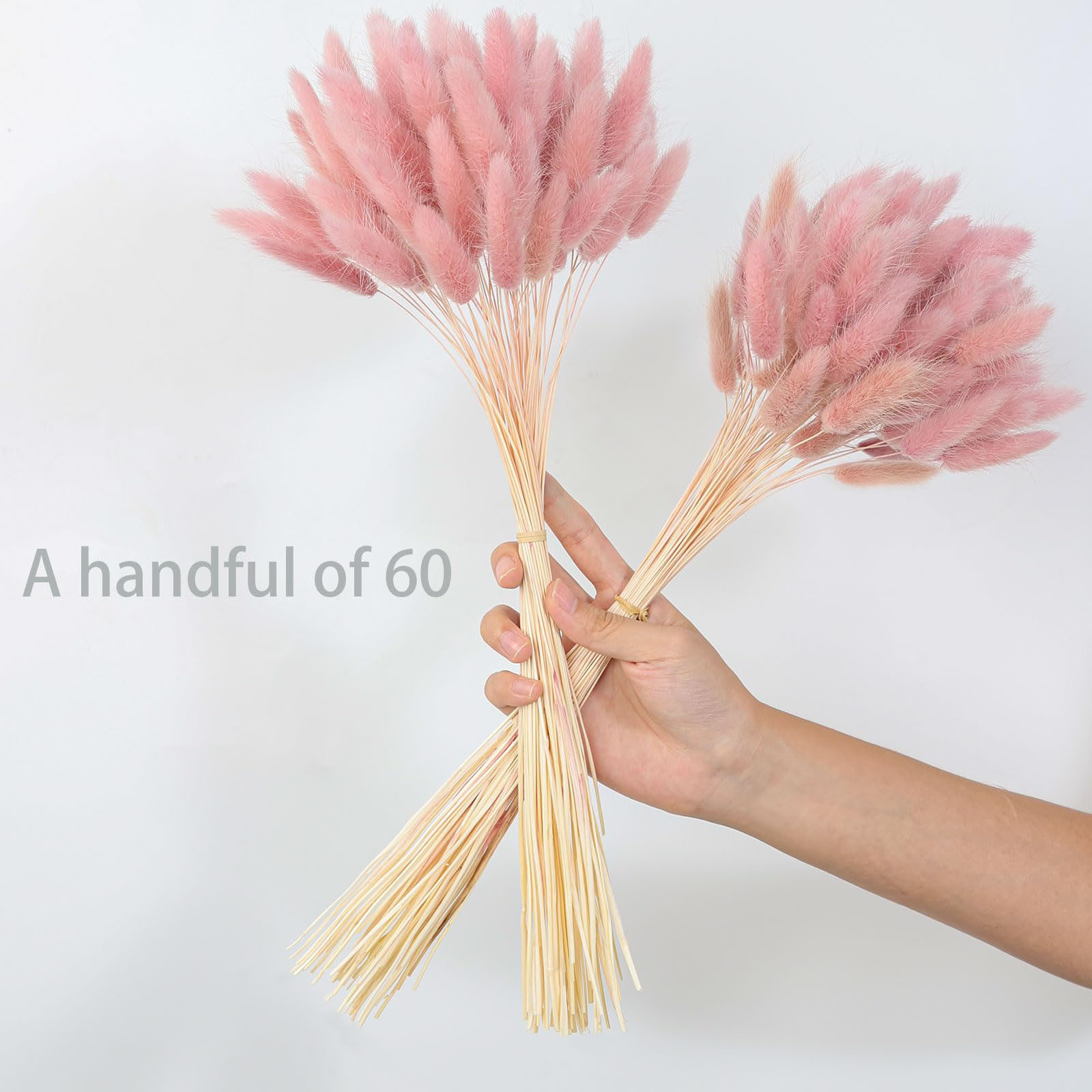 120 Stem Pink Dried Pampas Bun - Pampas Grass Decor 评论和价格