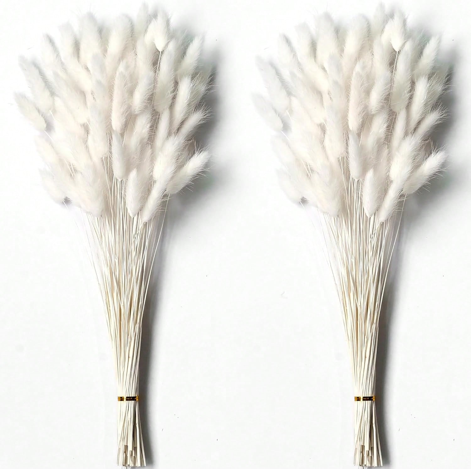 120 PCS Dried Pampas Grass Dec - Pampas Grass Decor 评论和价格