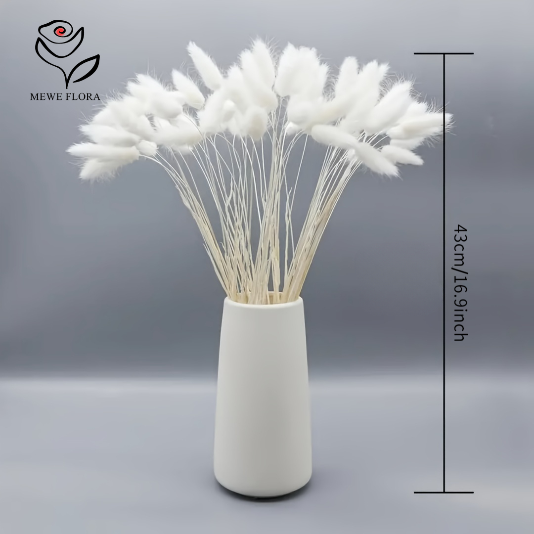 150PCS White Natural Fluffy Ra - Pampas Grass Decor 评论和价格